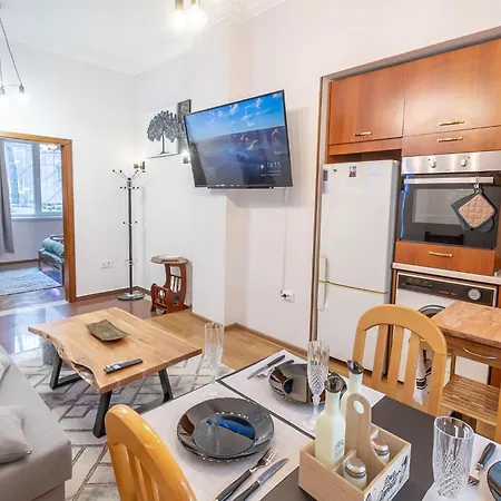 Vintage By Ndk And Vitosha Blvd With Free Secured Parking