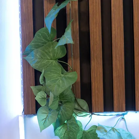 Vintage By Ndk And Vitosha Blvd With Free Secured Parking Appartement *