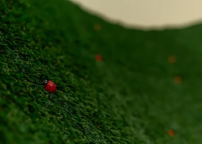 Vintage By Ndk And Vitosha Blvd With Free Secured Parking Appartamento Sofia