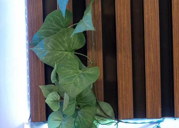 Vintage By Ndk And Vitosha Blvd With Free Secured Parking Appartamento *