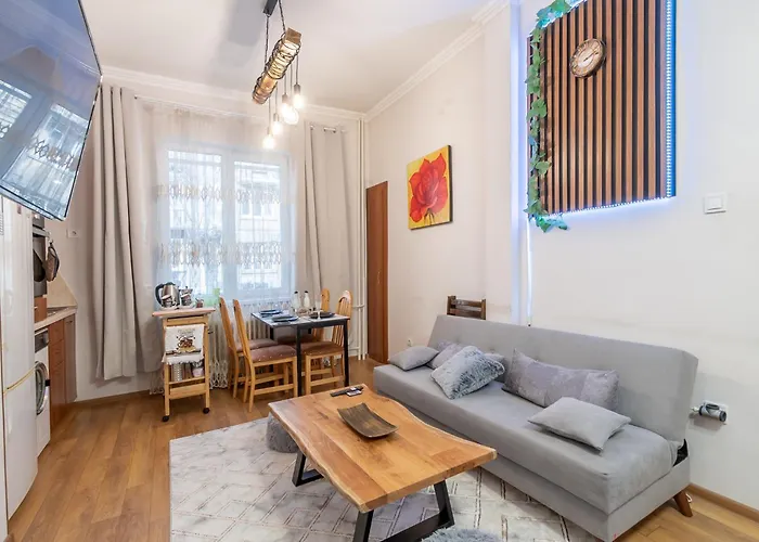 Vintage By Ndk And Vitosha Blvd With Free Secured Parking *